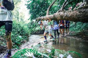 BIB: 
                            <button type="button" onclick="openModal(25464019)" class="btn btn-primary btn-sm float-right btn-popup" data-toggle="modal" data-target=".modal-high-quality">
                        <i class="fas fa-shopping-cart"></i> Add to Cart
                    </button>
                                            <button type="button" onclick="isThisMe(25464019, true)" class="btn btn-success btn-sm float-right btn-popup btn-isme hidden" data-toggle="tooltip" data-placement="bottom" title="นี่คือรูปของคุณใช่ไหม คลิกที่นี่เพื่อเอาเข้าอัลบั้ม">
                        <i class="fas fa-plus"></i> Add to album
                    </button>
                    <button type="button" onclick="isThisMe(25464019, false)" class="btn btn-warning btn-sm float-right btn-popup btn-isnotme hidden">
                        <i class="fas fa-ban"></i> Remove from album
                    </button>